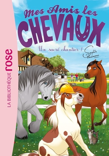 Mes amis les chevaux Tome 31 : Un sacré chantier !