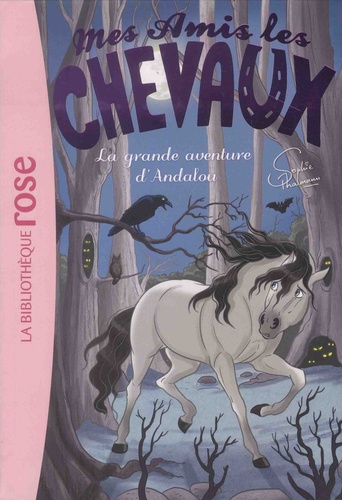 Mes amis les chevaux Tome 21 : La grande aventure d'Andalou