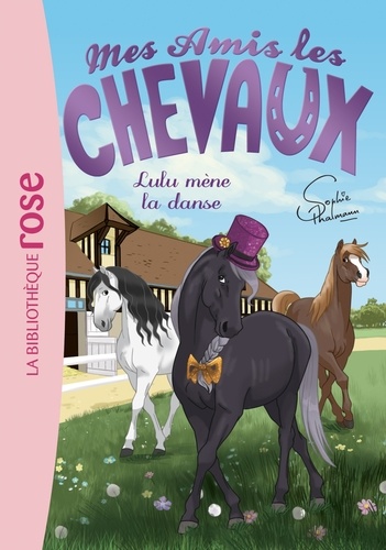 Mes amis les chevaux Tome 22 : Lulu mène la danse