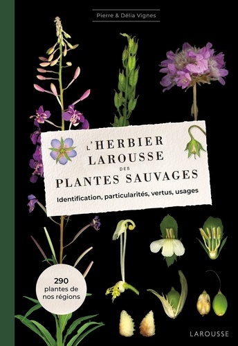 L'herbier Larousse des plantes sauvages. Identification, particularités, vertus, usages