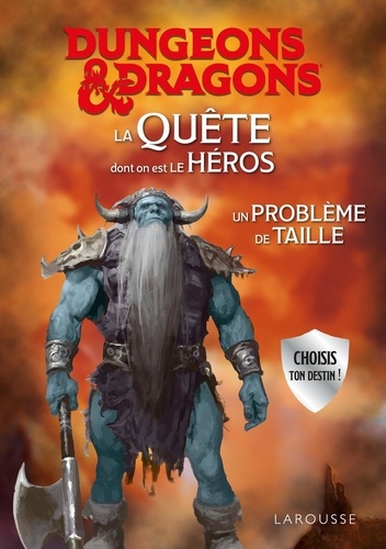 Dungeons & Dragons : La quête dont on est le héros. Un problème de taille