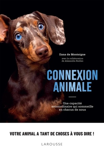 Connexion animale. Une capacité extraordinaire qui sommeille en chacun de nous