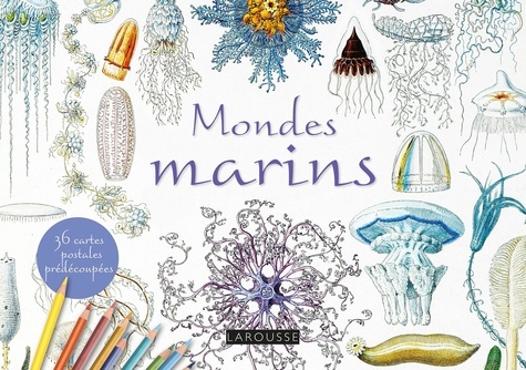 Mondes marins. 36 cartes postales prédécoupées