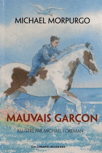 Mauvais garçon