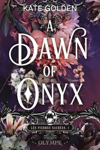 Les pierres sacrées Tome 1 : A dawn of Onyx. Edition collector