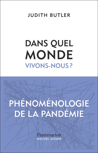 Dans quel monde vivons-nous ?. Phénoménologie de la pandémie