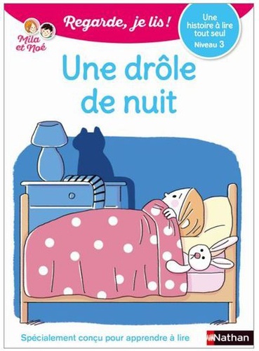 Mila et Noé : Une drôle de nuit