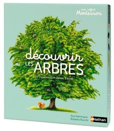 Découvrir les arbres