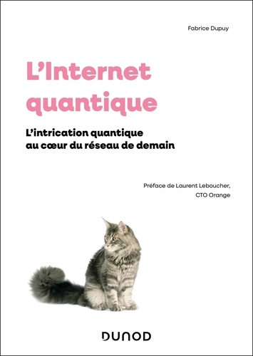 L'Internet quantique. L'intrication quantique au coeur du reseau de demain