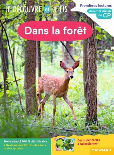 Dans la forêt. Début et milieu de CP