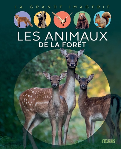 Les animaux de la forêt