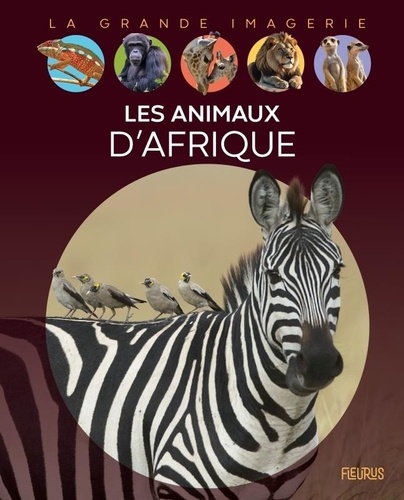 Les animaux d'Afrique