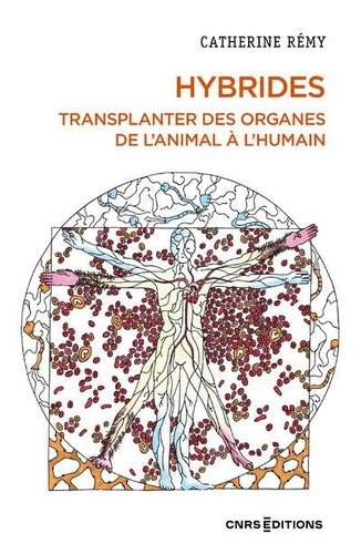 Hybrides. Transplanter des organes de l'animal à l'humain