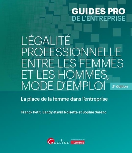 L'égalité professionnelle entre les femmes et les hommes, mode d'emploi. La place de la femme dans l'entreprise, 2e édition