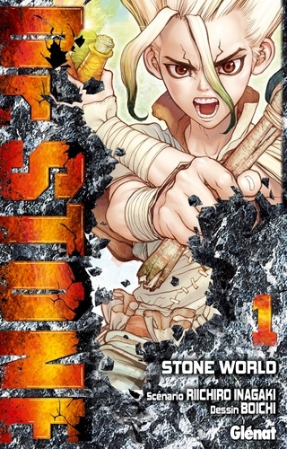 Dr Stone Tome 1 : Stone World