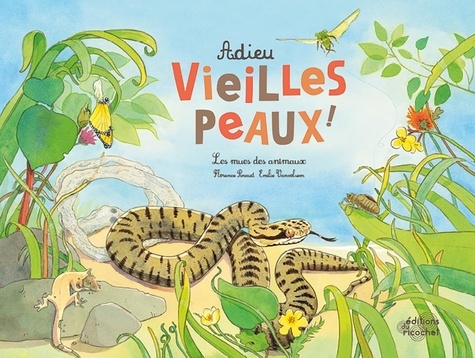 Adieu vieilles peaux ! les mues des animaux