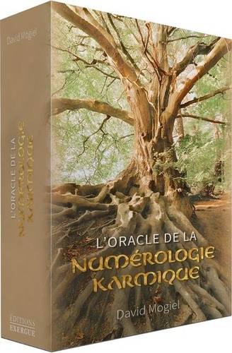 L'Oracle de la numérologie karmique