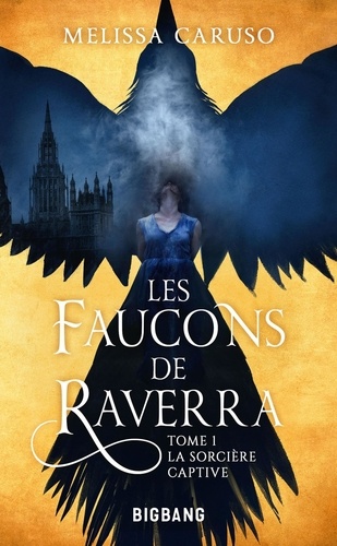 Les faucons de Raverra Tome 1 : La sorcière captive