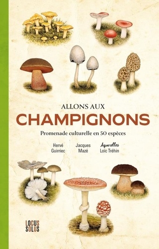 Allons aux champignons. Promenade culturelle en 50 espèces