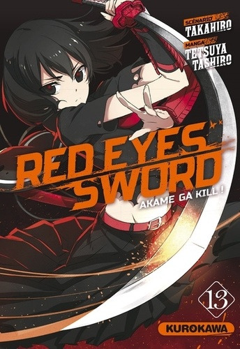 Red Eyes Sword Tome 13