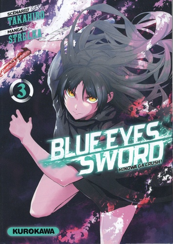 Blue eyes sword Tome 3