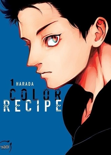 Color recipe Tome 1