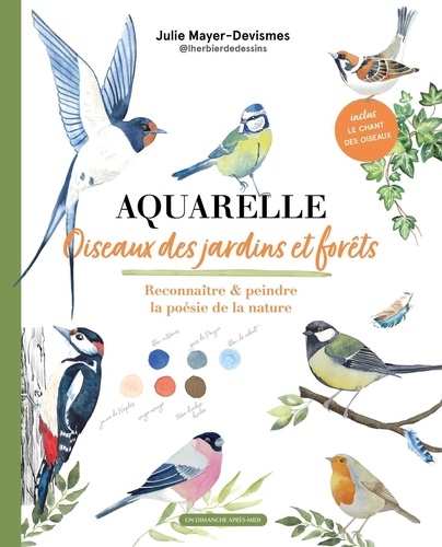 Aquarelle, oiseaux des jardins et forêts