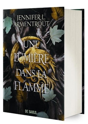 Une lumière dans la flamme Tome 2 : La Chair et le Feu. Edition collector