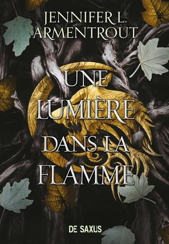 Une lumière dans la flamme Tome 2 : La Chair et le Feu