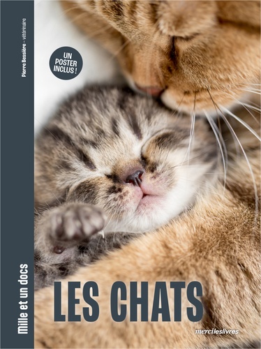 Les chats. Un poster inclus !