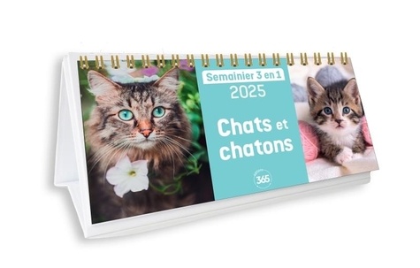 Semainier 3 en 1 Chats et chatons. Edition 2025