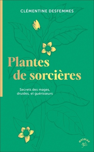 Plantes de sorcières. Secrets des mages, druides, et guérisseurs