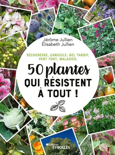 50 plantes qui résistent à tout ! Sécheresse, canicule, gel tardif, vent fort, maladies