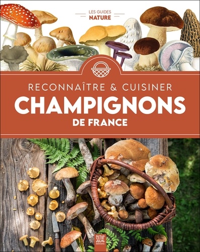 Reconnaître & cuisiner : Champignons de France