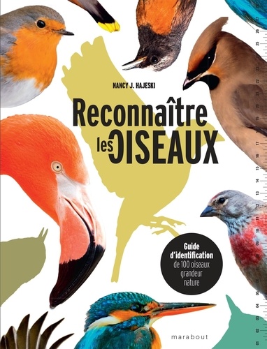 Reconnaître les oiseaux. Guide d'identification de 100 oiseaux grandeur nature