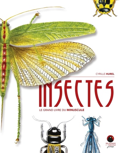 Insectes. Le grand livre du minuscule