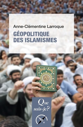 Géopolitique des islamismes. 4e édition