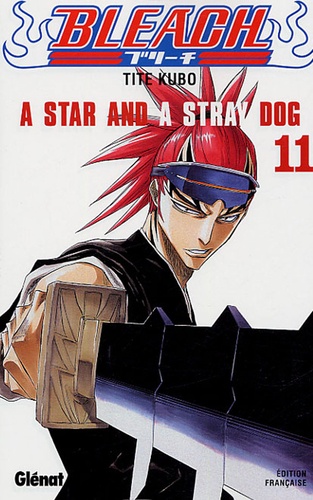 Bleach Tome 11 : A Star and a Stray Dog