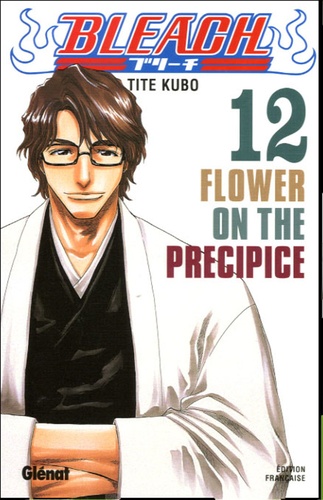 Bleach Tome 12 : Flower on the Precipice