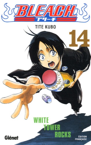 Bleach Tome 14 : White Tower Rocks