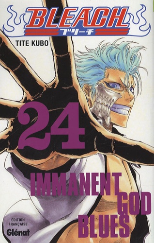 Bleach Tome 24 : Immanent God Blues