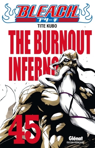 Bleach Tome 45 : The burnout inferno