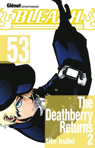 Bleach Tome 53 : The deathberry returns 2