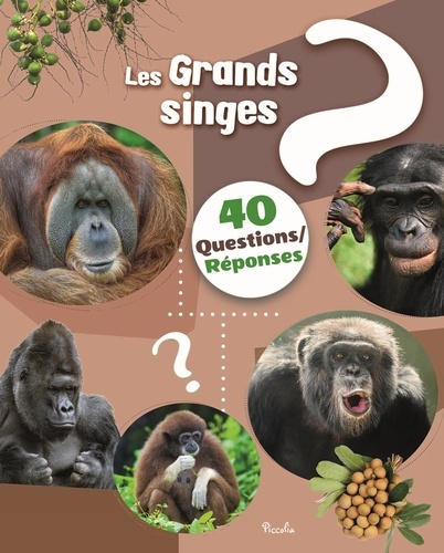 Les grands singes