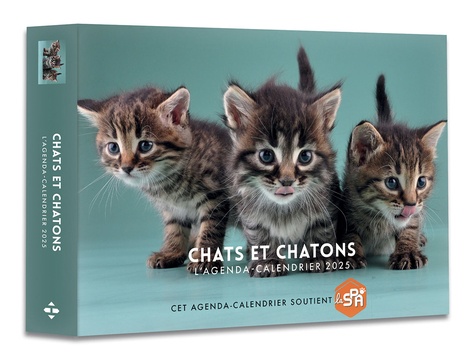 L'agenda-calendrier Chats et chatons. Edition 2025