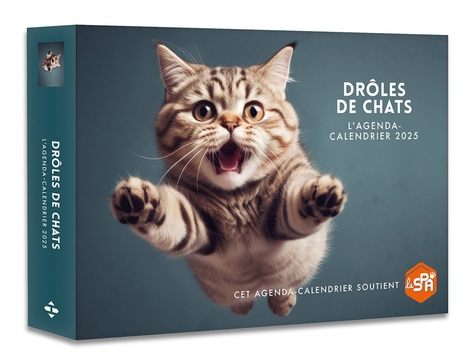 L'agenda-calendrier Drôles de chats. Edition 2025