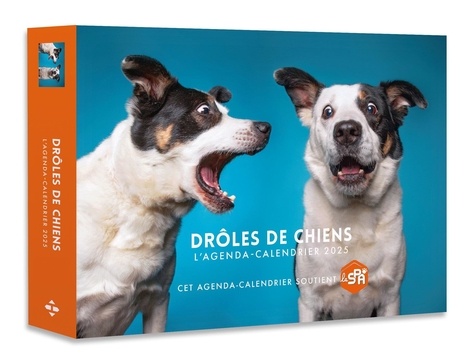 L'agenda-calendrier Drôles de chiens. Edition 2025