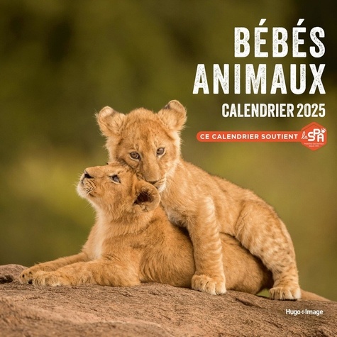 Calendrier mural Bébés animaux. Edition 2025