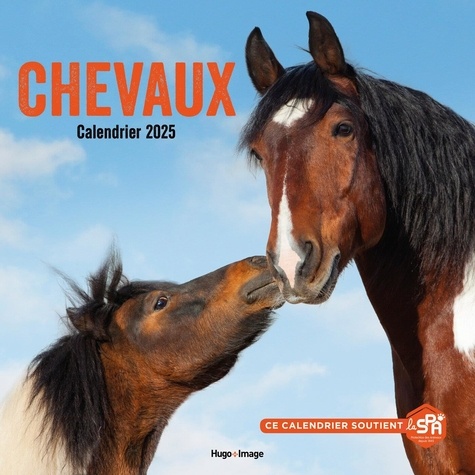 Calendrier mural Chevaux. Edition 2025