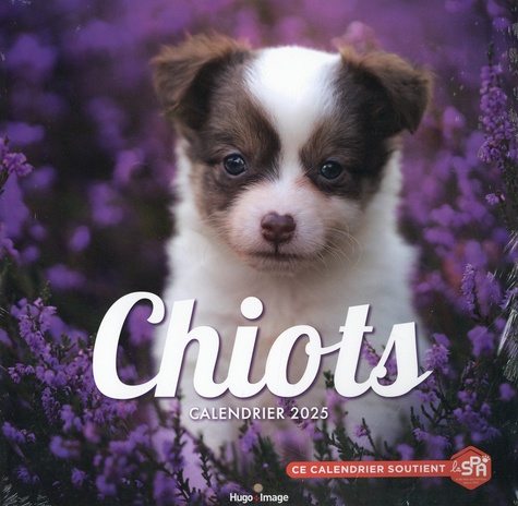 Calendrier mural Chiots. Edition 2025